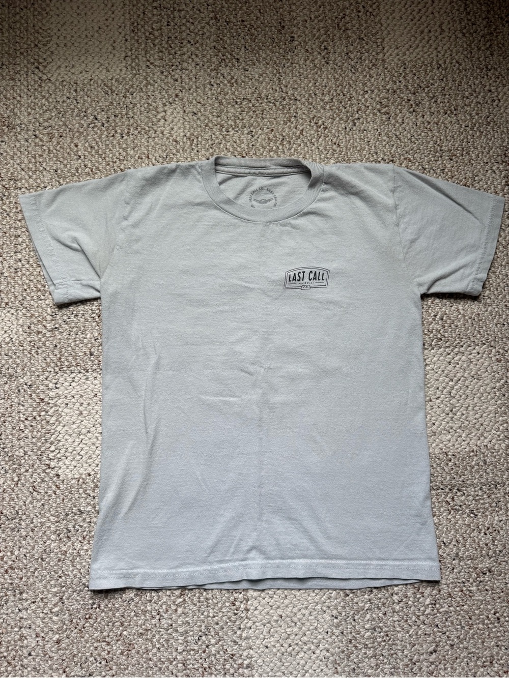 Boys Short Sleeve T-Shirt in Light Gray